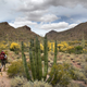Organ Pipe Cactus National Monument near Ajo, Arizona on May 10, 2019